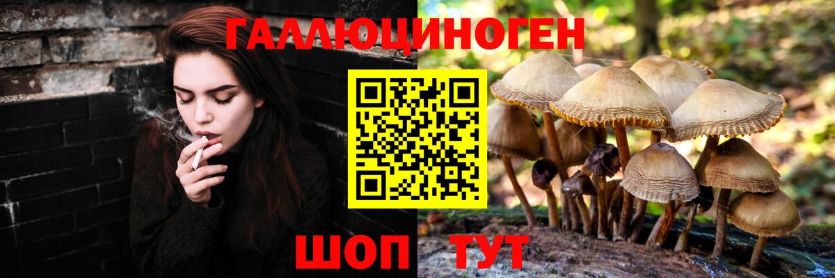 Златоуст  Псилоцибиновые грибы MAGIC MUSHROOMS  Псилоцибиновые грибы Magic Shrooms  Вход с VPN 
